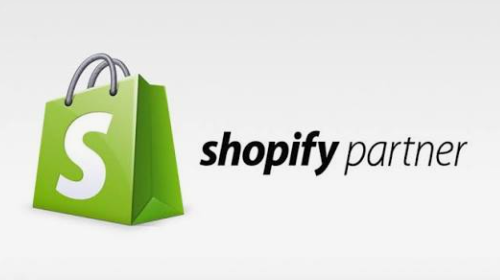 Shopify Partner